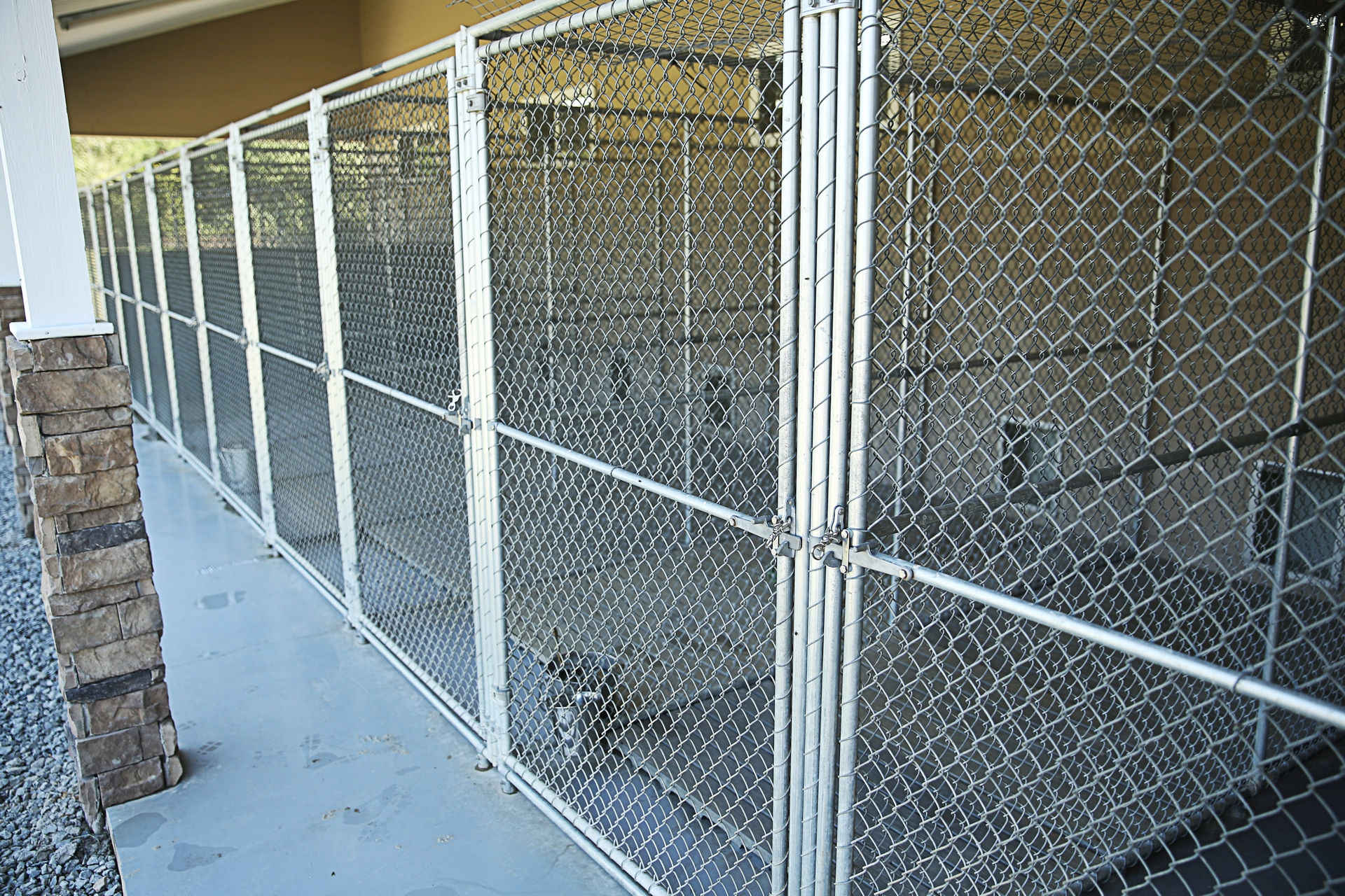 Kennels in the Country ©